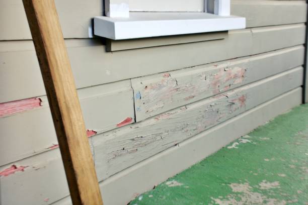 Best Stone Veneer Siding  in Selma, AL